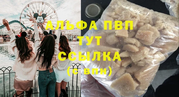 стаф Коряжма