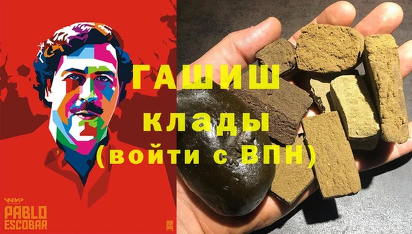 стаф Коряжма