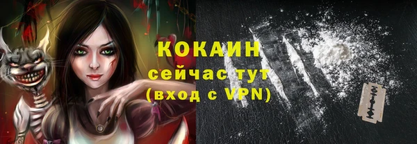 стаф Коряжма