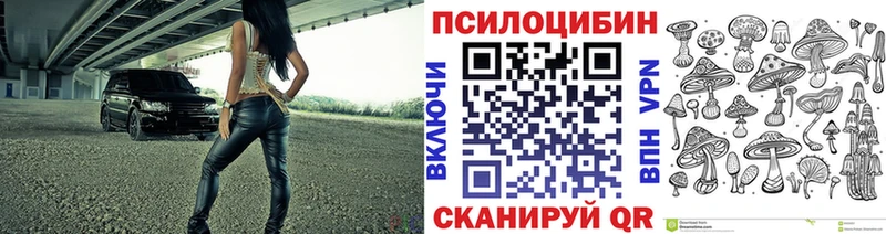 Галлюциногенные грибы Psilocybe  Купить закладки  Берёзовский 